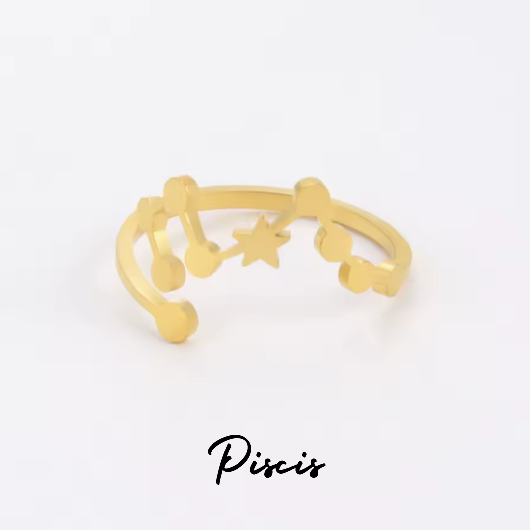 Anillo Constelación del Zodiaco