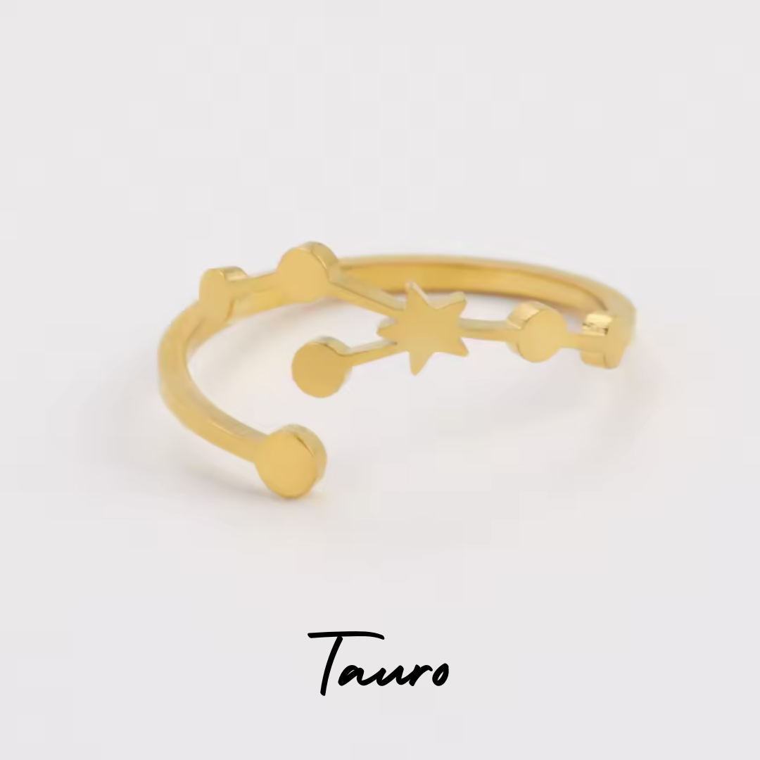 Anillo Constelación del Zodiaco
