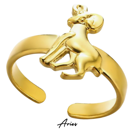 Anillo con Forma de ARIES