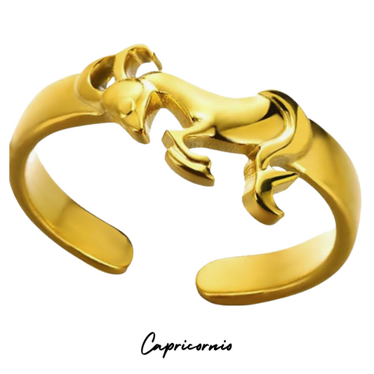 Anillo con Forma de CAPRICORNIO